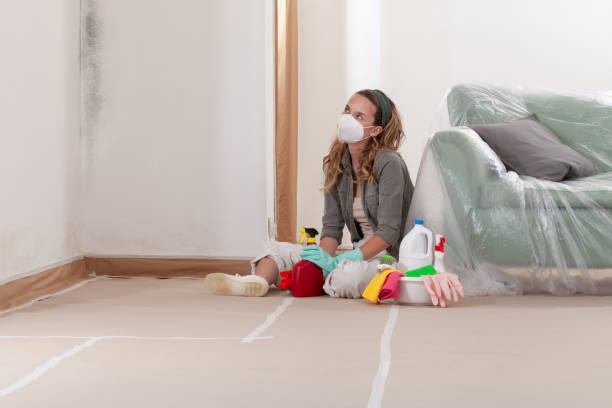 Reliable Mold Testing contractor in Barton, MD by WQB Mold Removal