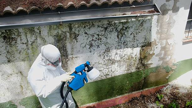Top rated local Mold Testing specialists in Barton, MD